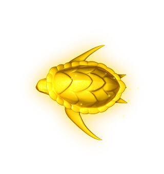 黄金海龟
