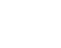 Professional Marketing Team